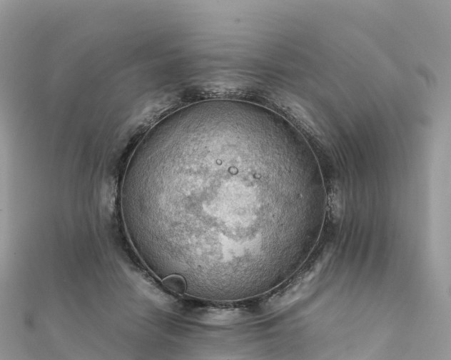 X0000111860458200907301135