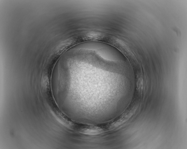 X0000111860459200907301135