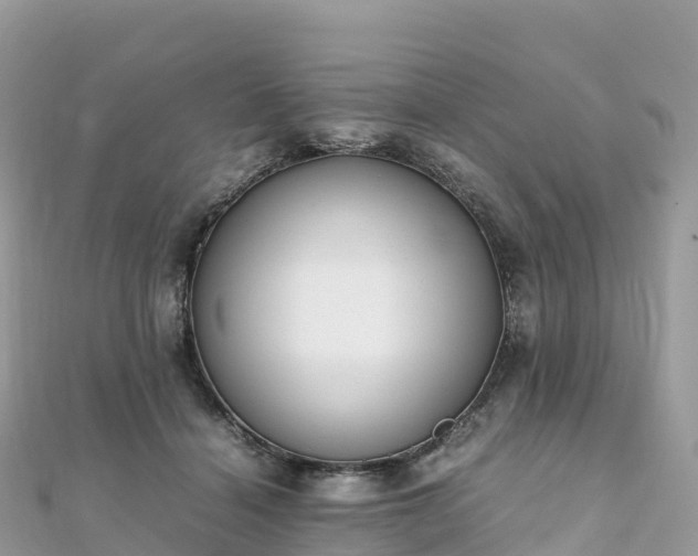 X0000111860460200907301135