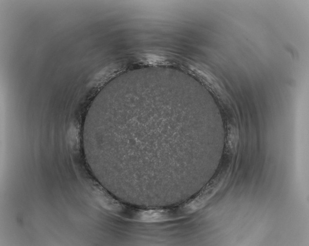 X0000111860461200907301135