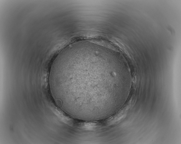 X0000111860462200907301135