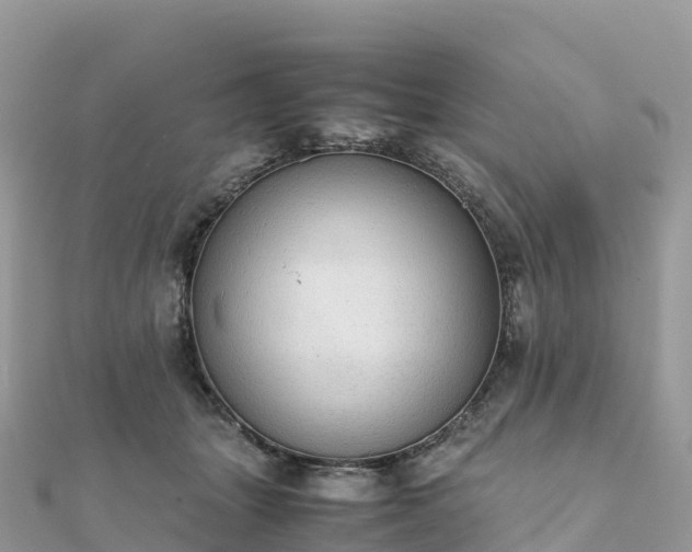 X0000111860463200907301135