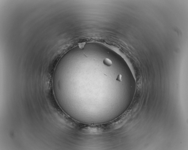 X0000111860464200907301135