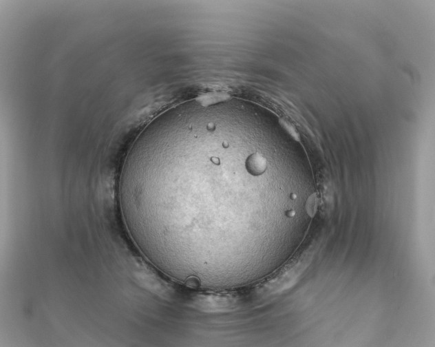 X0000111860466200907301135