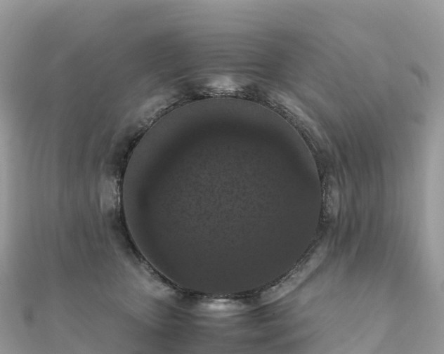 X0000111860467200907301135