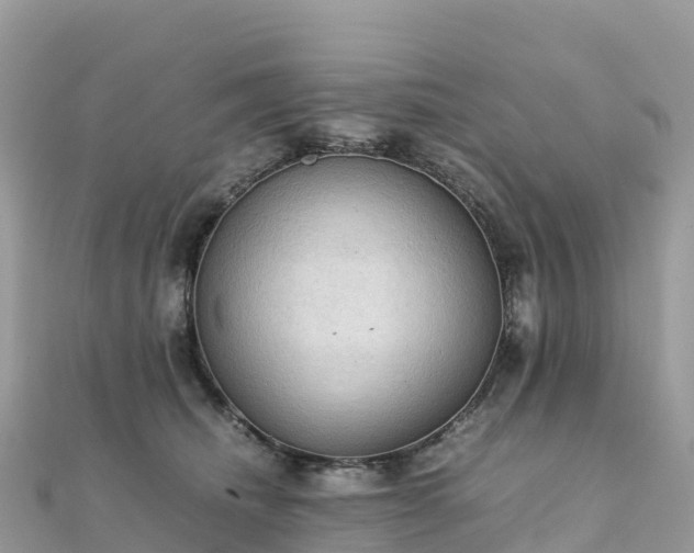 X0000111860468200907301135