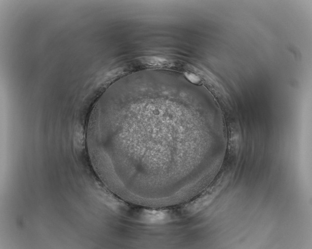 X0000111860469200907301135