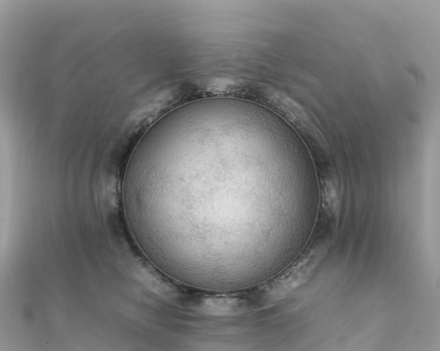 X0000111860470200907301135