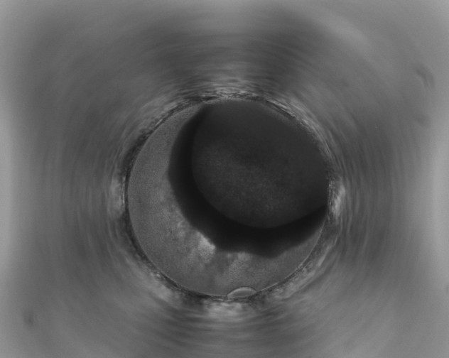 X0000111860471200907301135