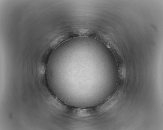 X0000111860472200907301135