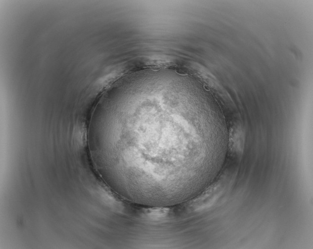 X0000111860474200907301135