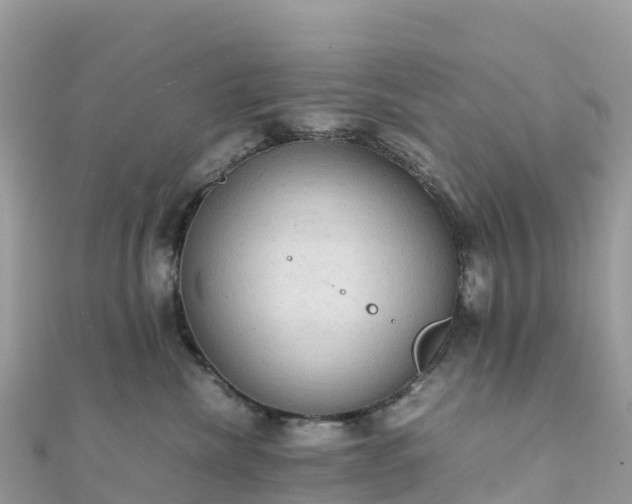 X0000111860476200907301135