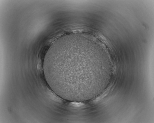 X0000111860477200907301135