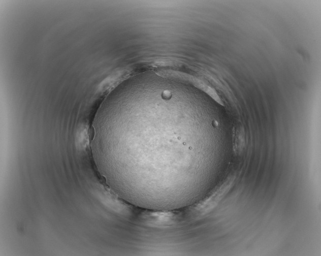 X0000111860478200907301135