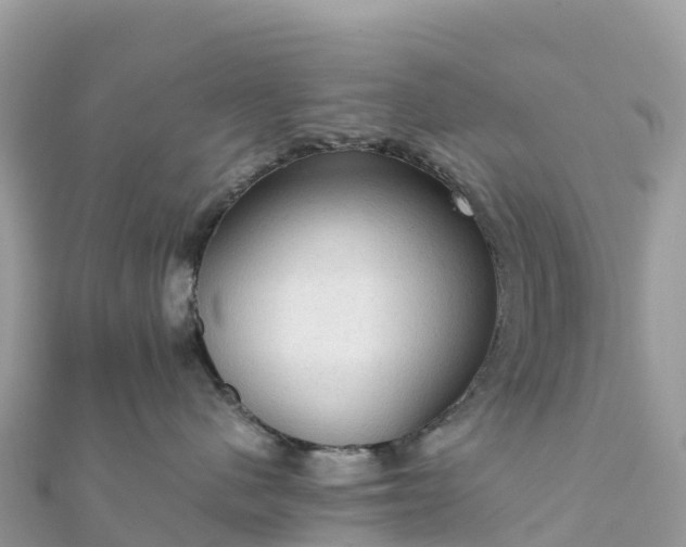 X0000111860480200907301135