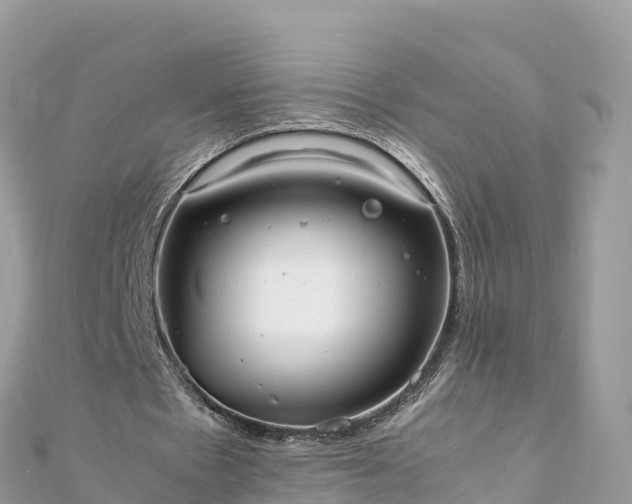 X0000111860481200907301135