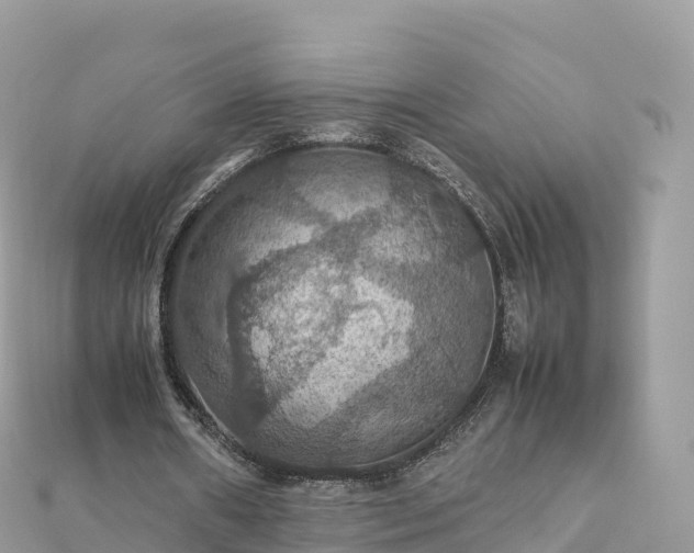 X0000111860482200907301135