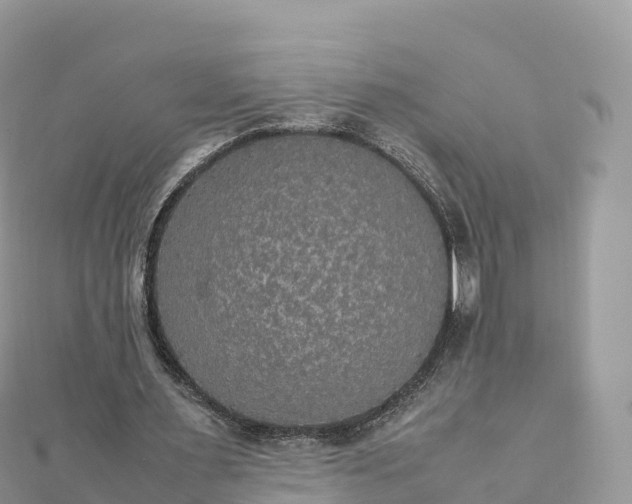 X0000111860483200907301135