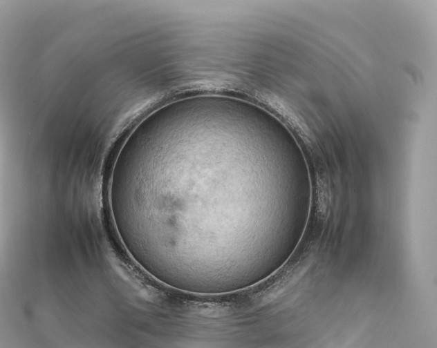 X0000111860486200907301135