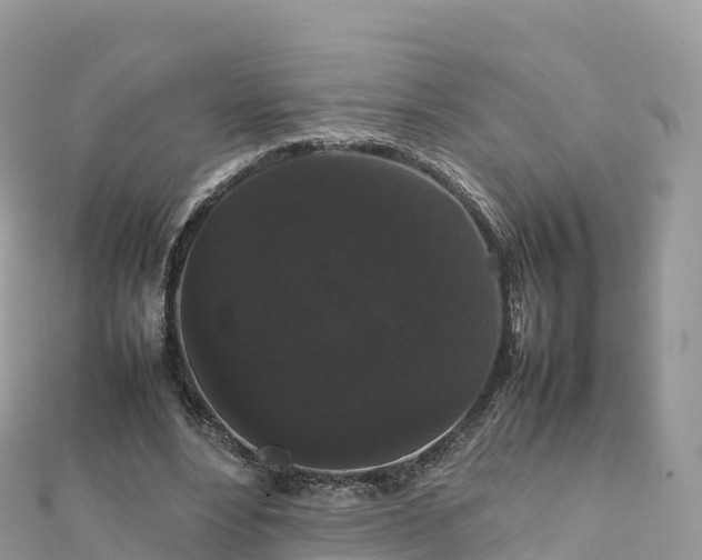 X0000111860488200907301135