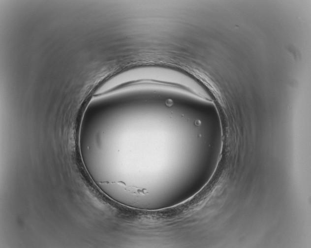 X0000111860489200907301135