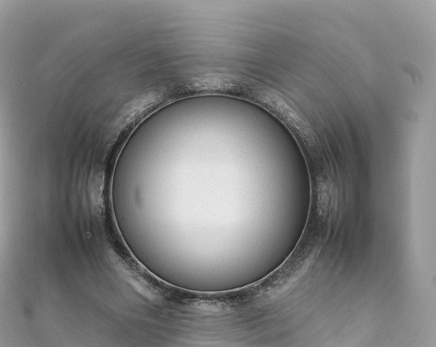 X0000111860490200907301135