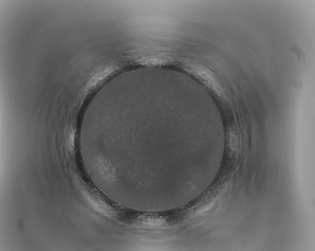 X0000111860491200907301135