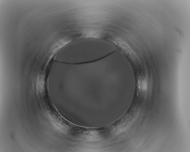 X0000111860492200907301135