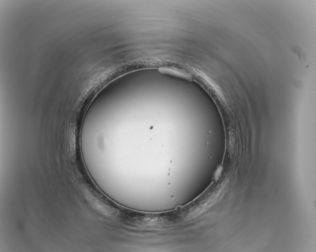 X0000111860493200907301134