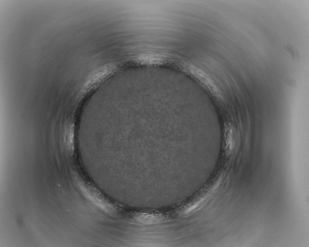 X0000111860494200907301134