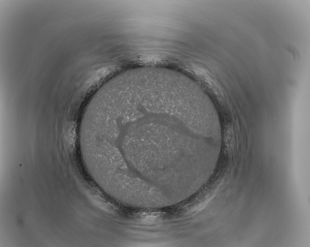 X0000111860495200907301134