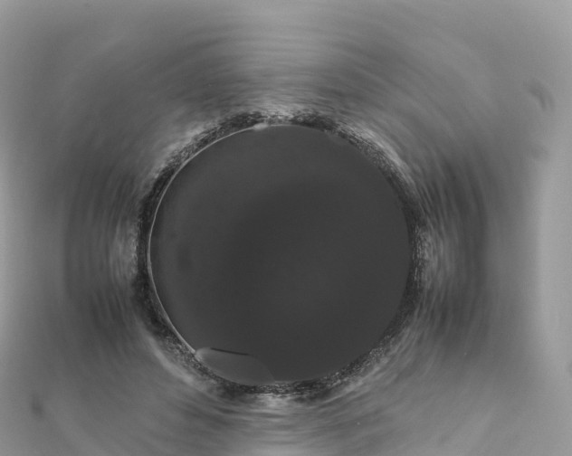 X0000111860496200907301134