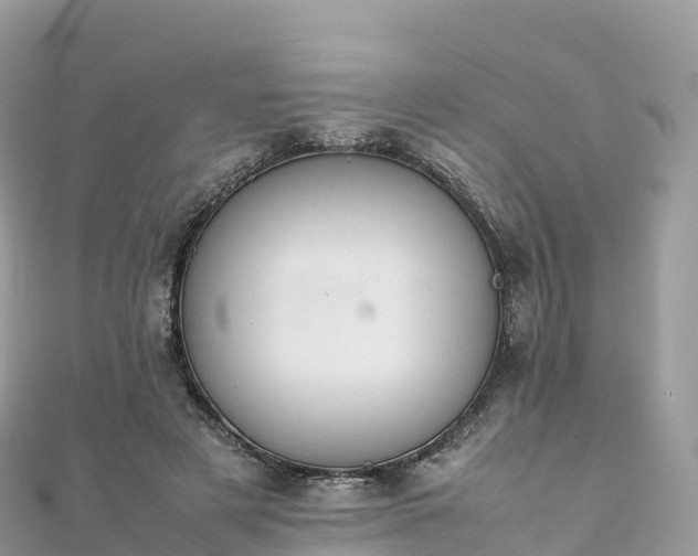 X0000111860497200907301134