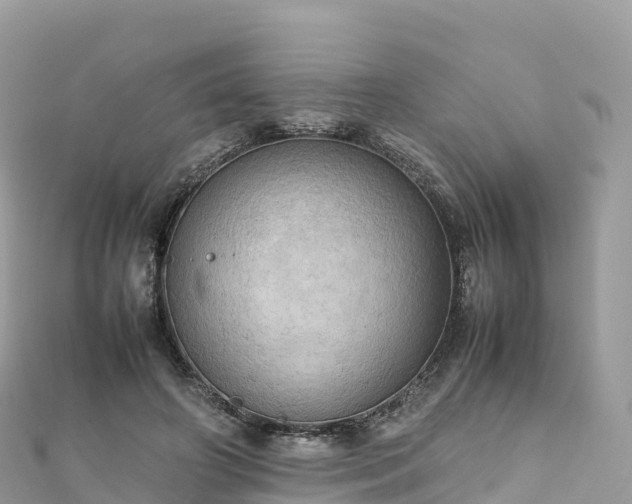 X0000111860498200907301134