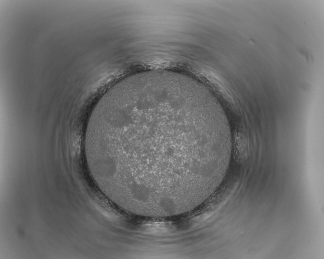 X0000111860499200907301134