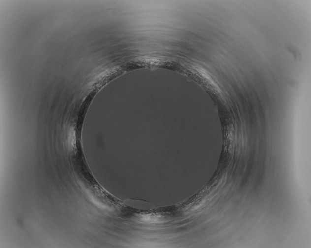 X0000111860500200907301134