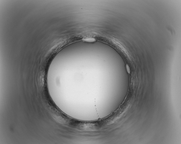 X0000111860501200907301134