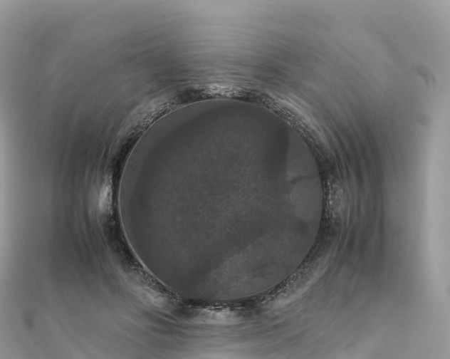 X0000111860502200907301134