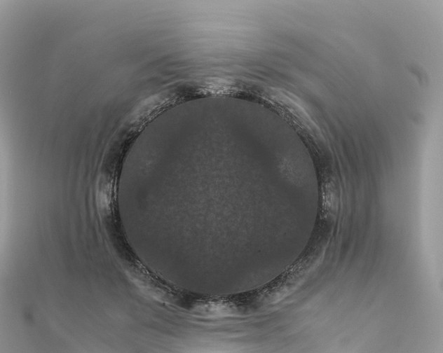 X0000111860503200907301134