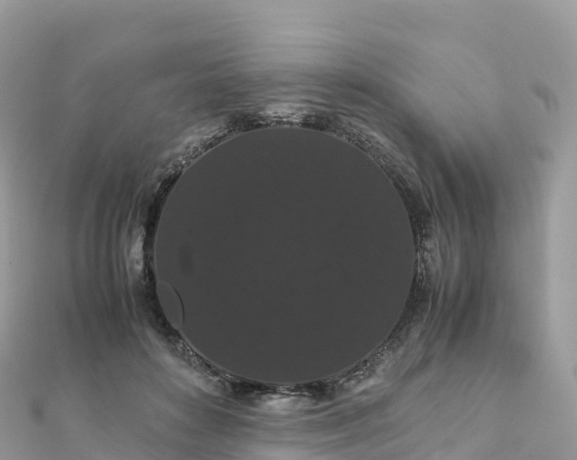 X0000111860504200907301134