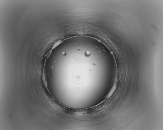 X0000111860505200907301134