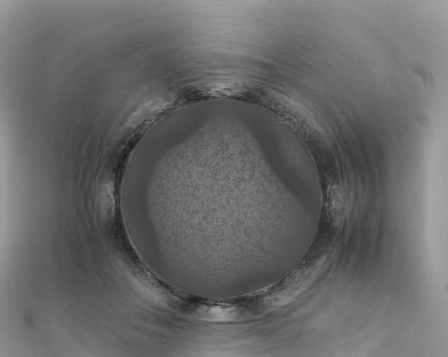 X0000111860506200907301134