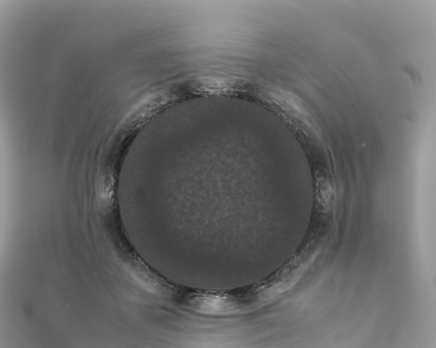 X0000111860507200907301134