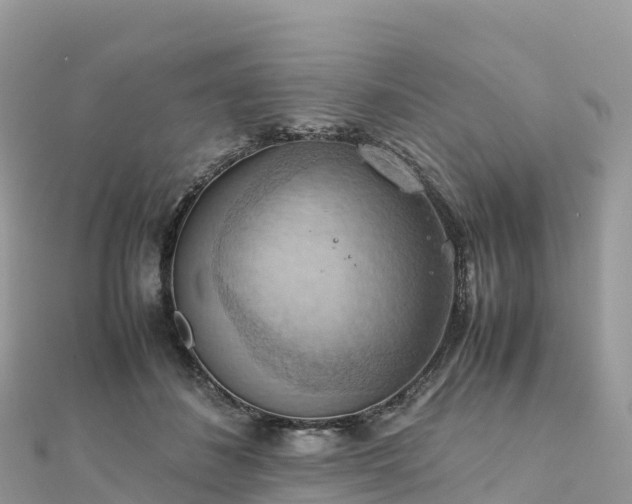 X0000111860508200907301134