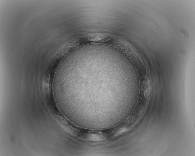 X0000111860510200907301134