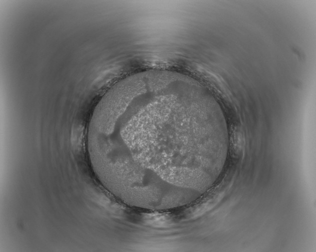 X0000111860511200907301134