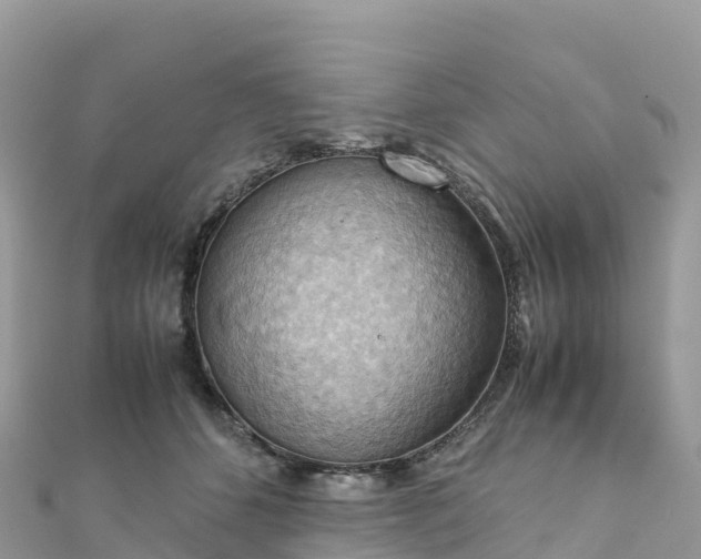 X0000111860512200907301134