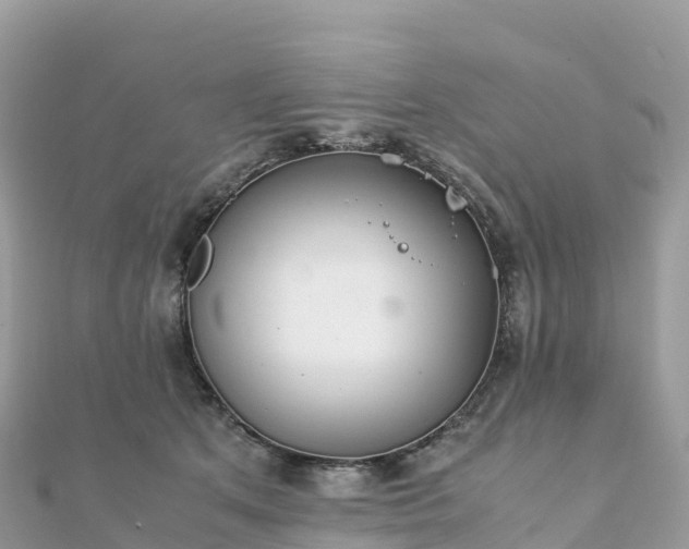 X0000111860513200907301134