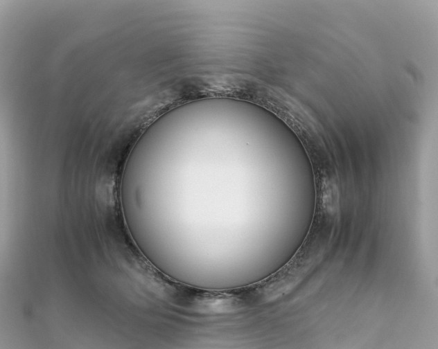 X0000111860514200907301134