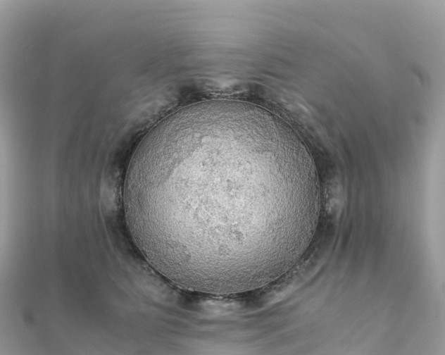 X0000111860515200907301134